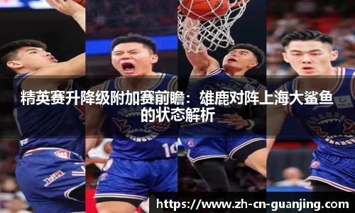 精英赛升降级附加赛前瞻:雄鹿对阵上海大鲨鱼的状态解析
